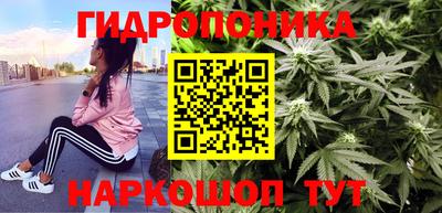 винт Будённовск