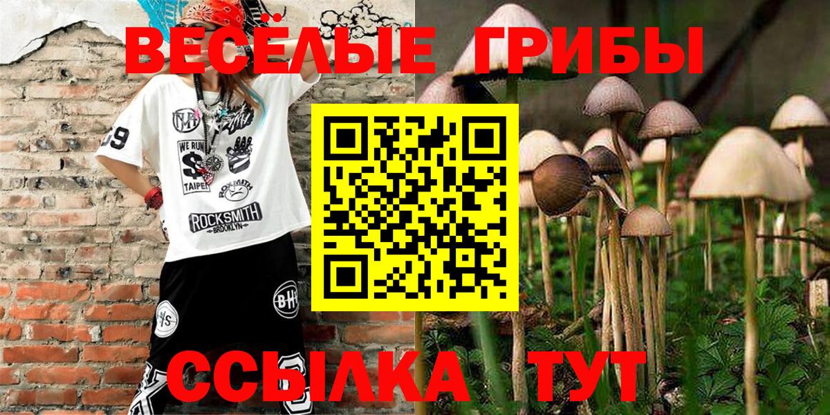 Шадринск  Галлюциногенные грибы ЛСД  Вход с VPN 
