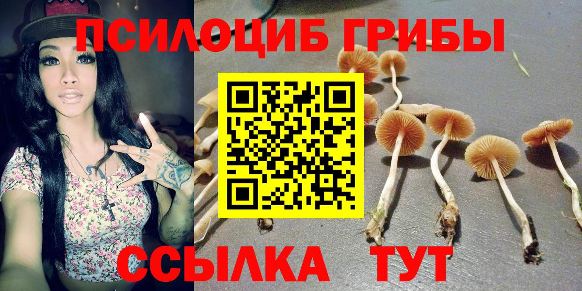 Псилоцибиновые грибы GOLDEN TEACHER Шадринск